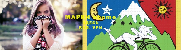 Альфа ПВП Инта
