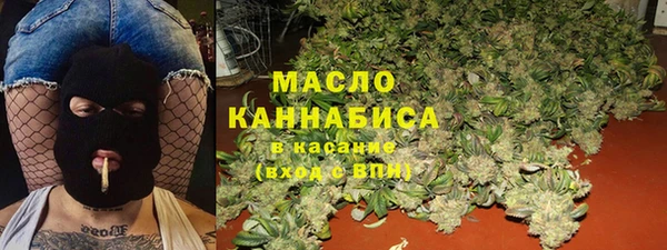 Альфа ПВП Инта